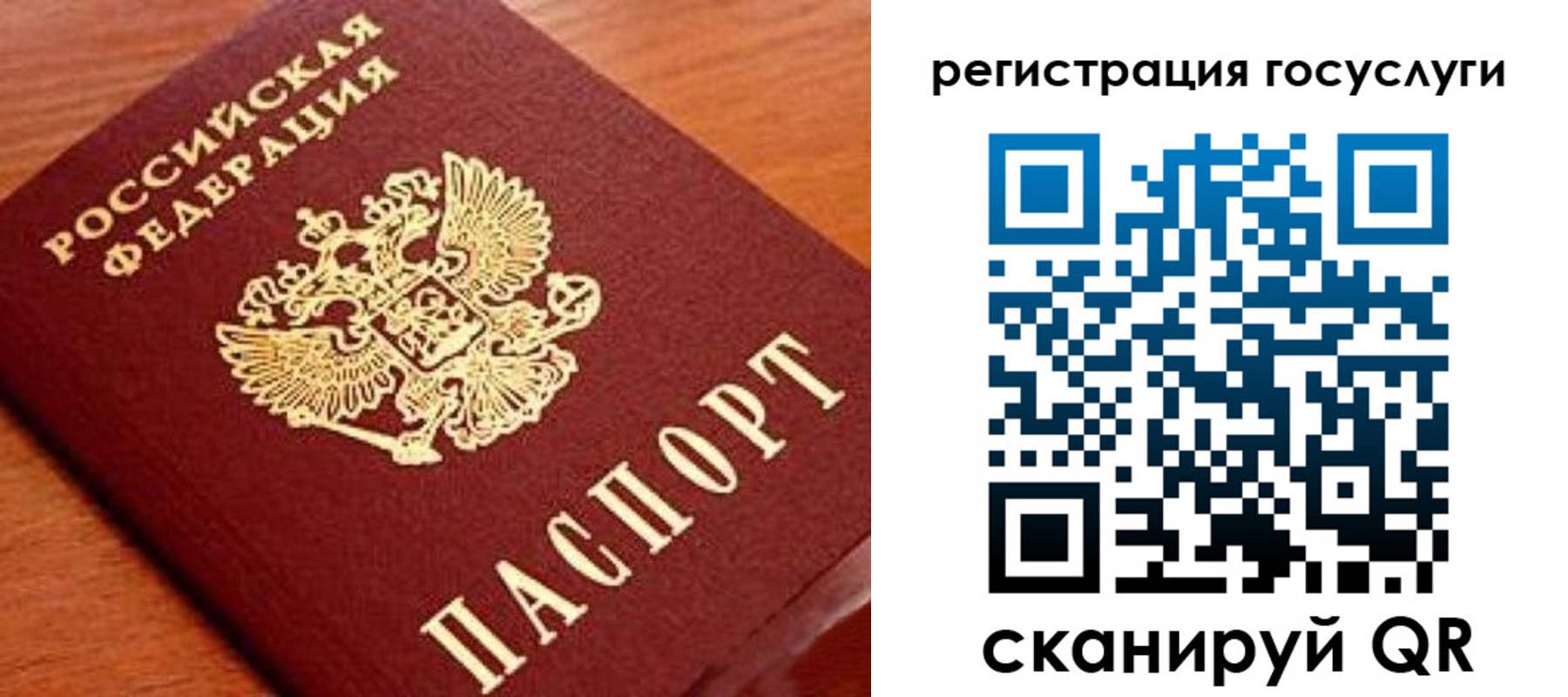 прописка иностранных граждан в Полярном